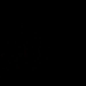 Meet your Posher, Caleb